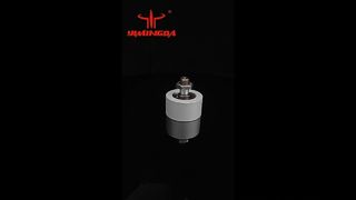 170131788